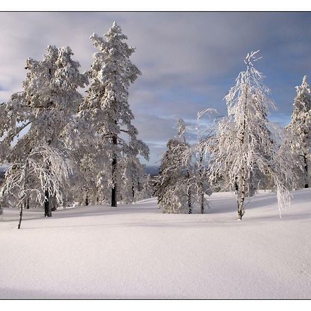 Ferienhaus Vitsand Torsby Esterno foto